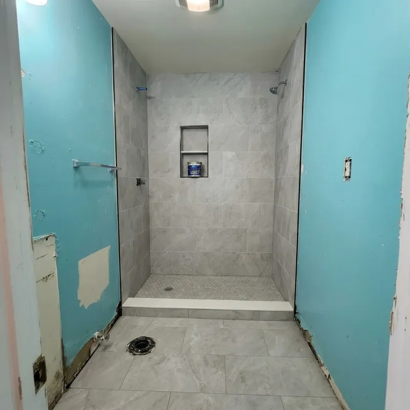 Shower enclosure before remodel